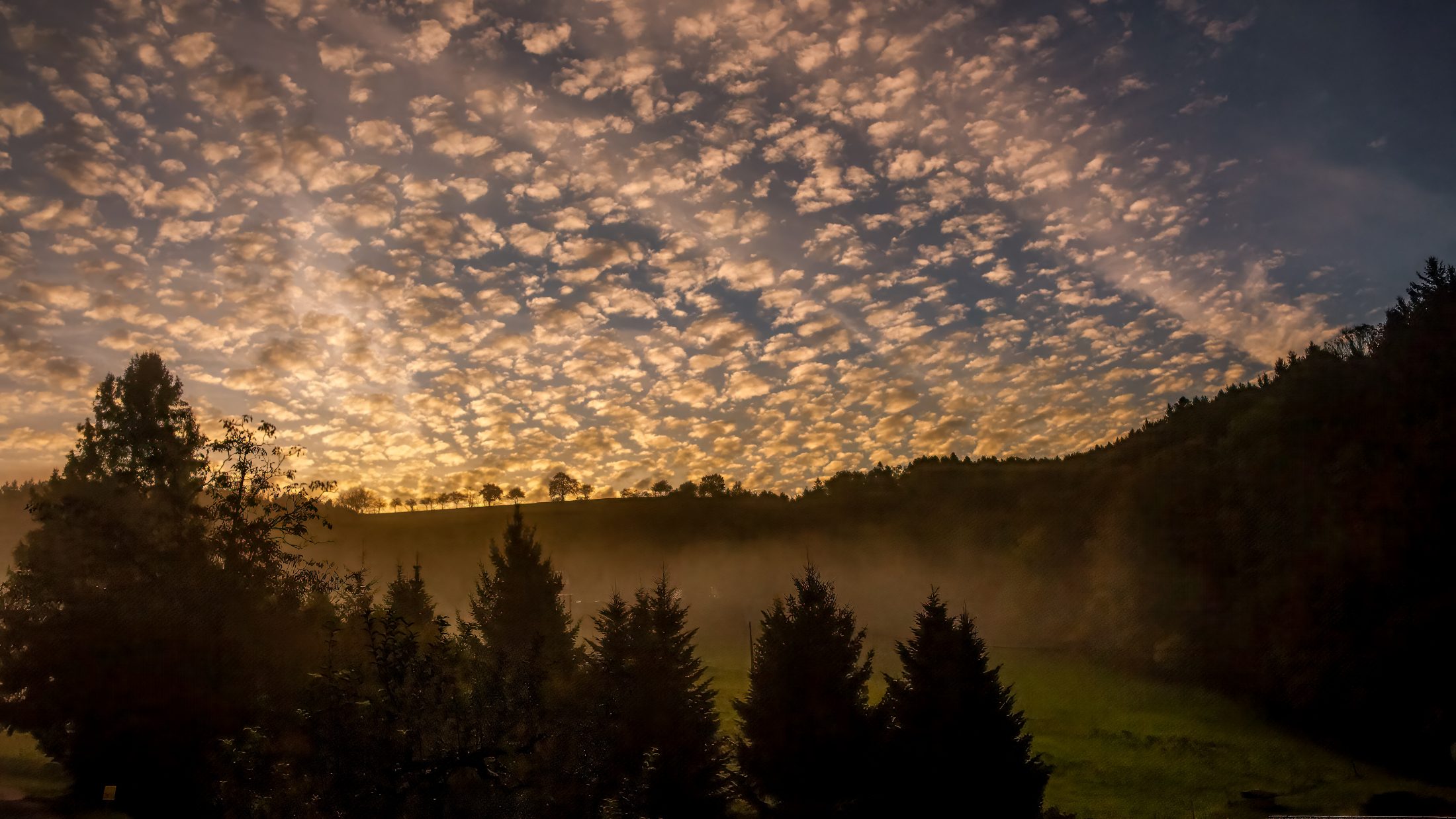 Golden Morning Mist in the Black Forest