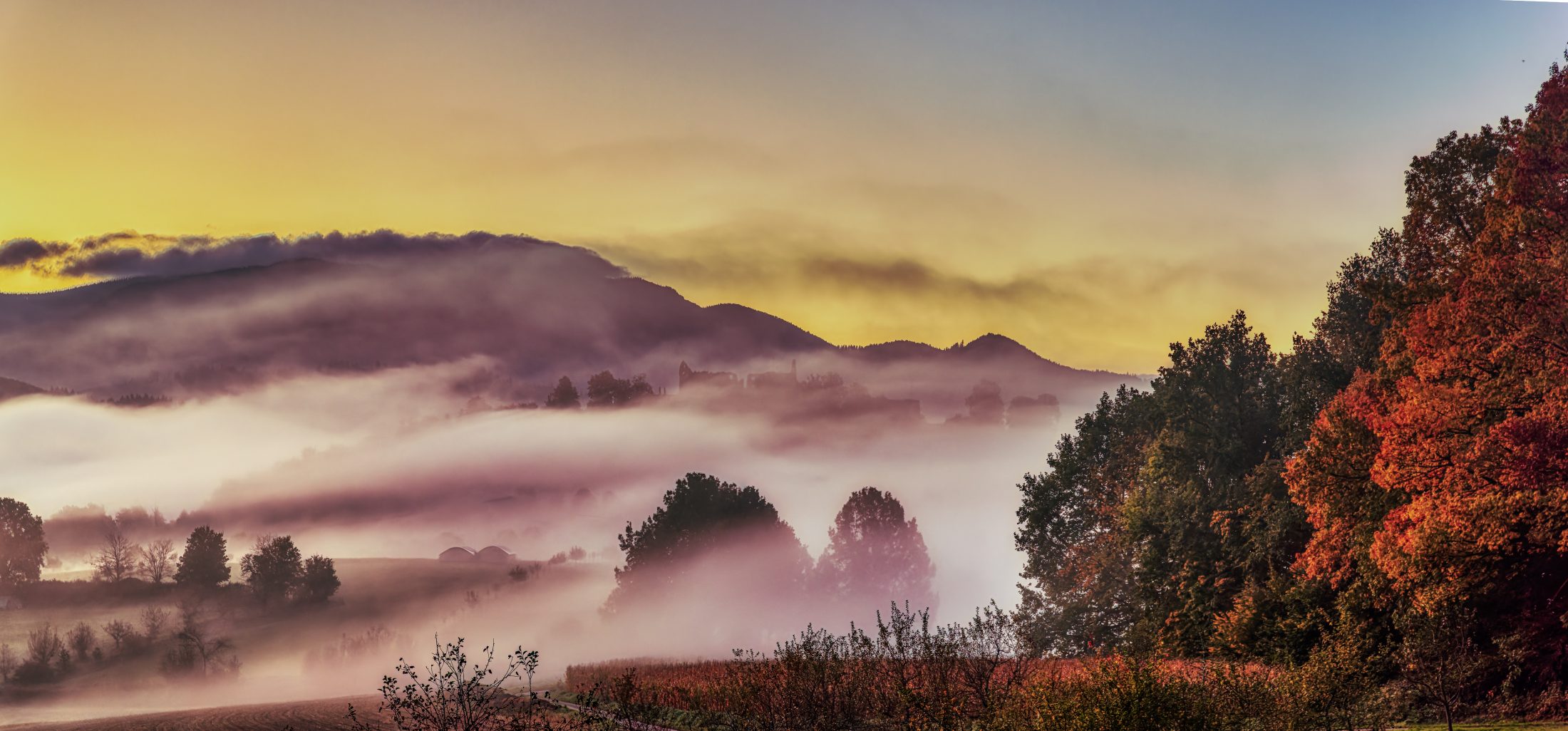Misty Morning Over Brettental Valley With Hochburg Castle Ruin, Southern Black Forest-2