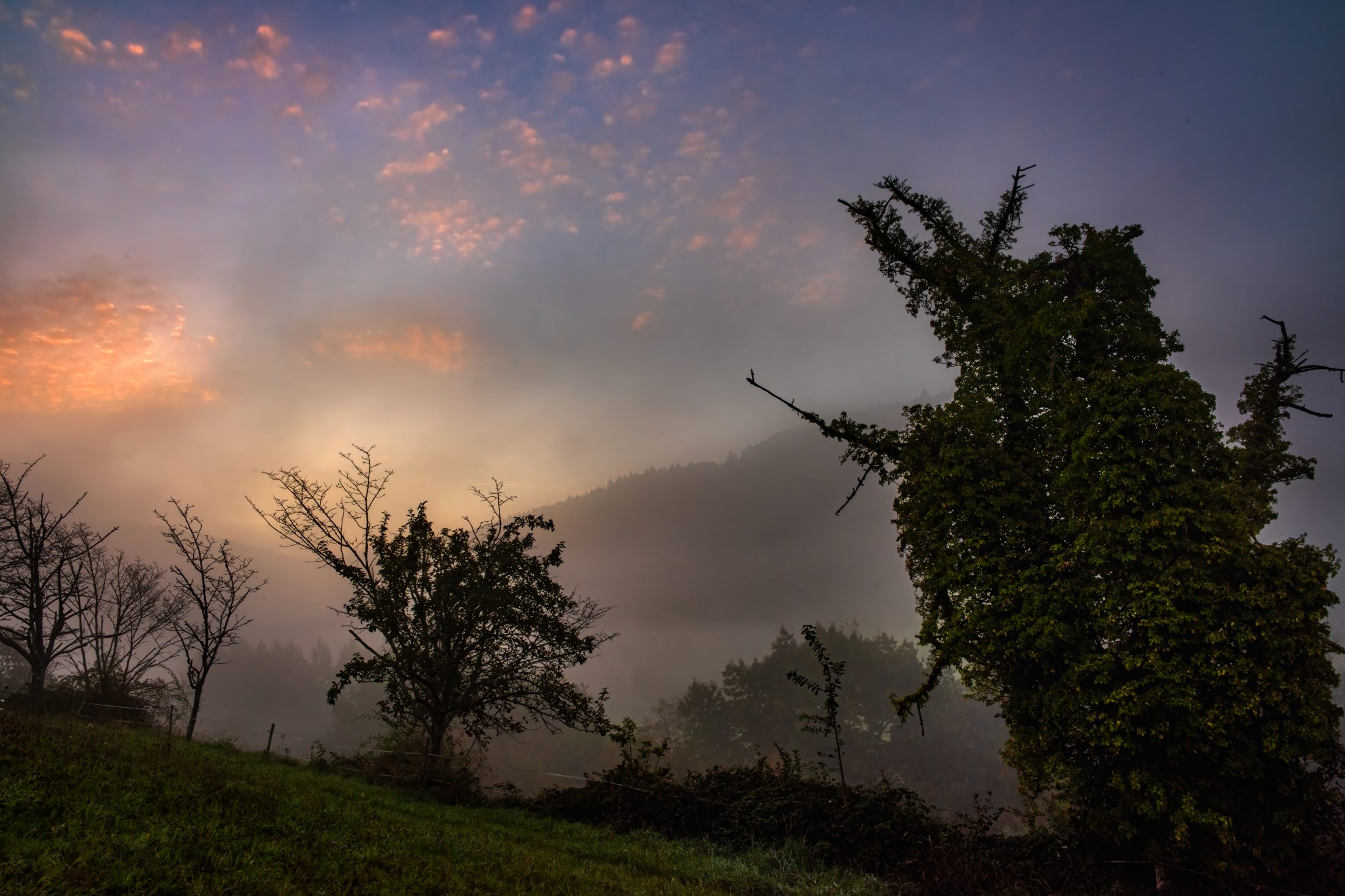Misty Sunrise in the Black Forest Valley