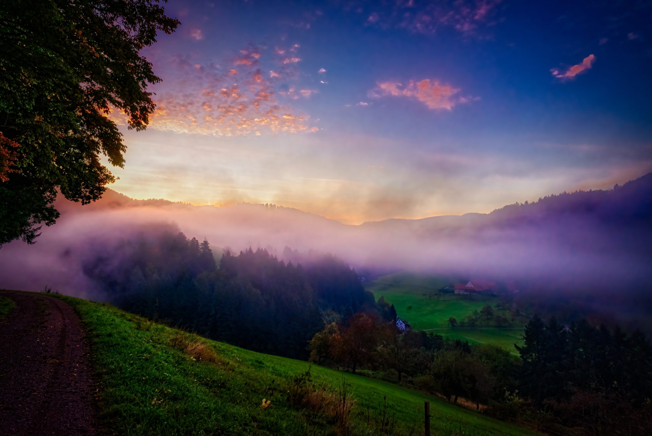 Sonnenaufgang über dem Nebelmeer im Gscheid, Schwarzwald