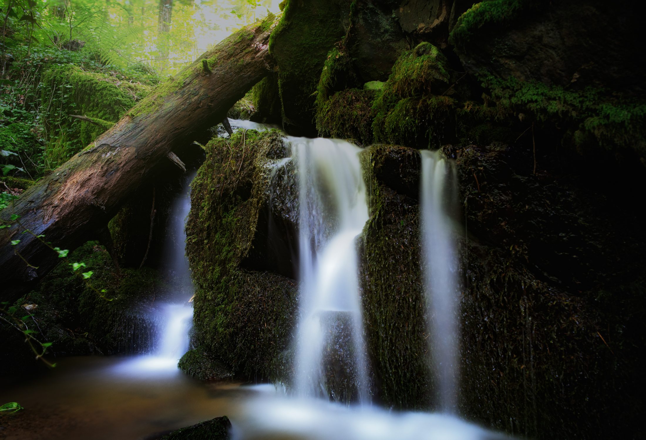 Tranquil Waterfall in the Black Forest