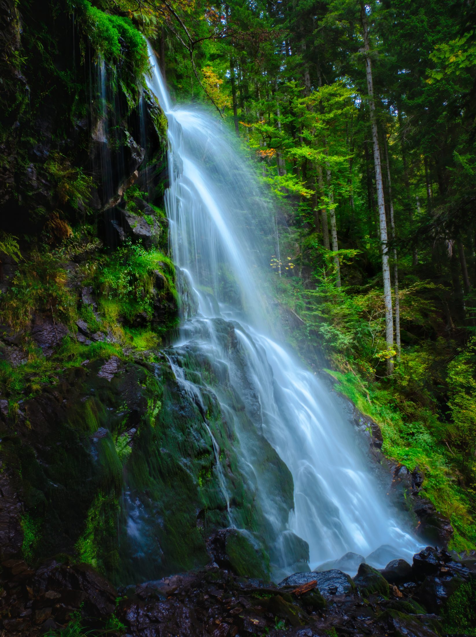 Zweribach Waterfall: Early Autumn Serenity